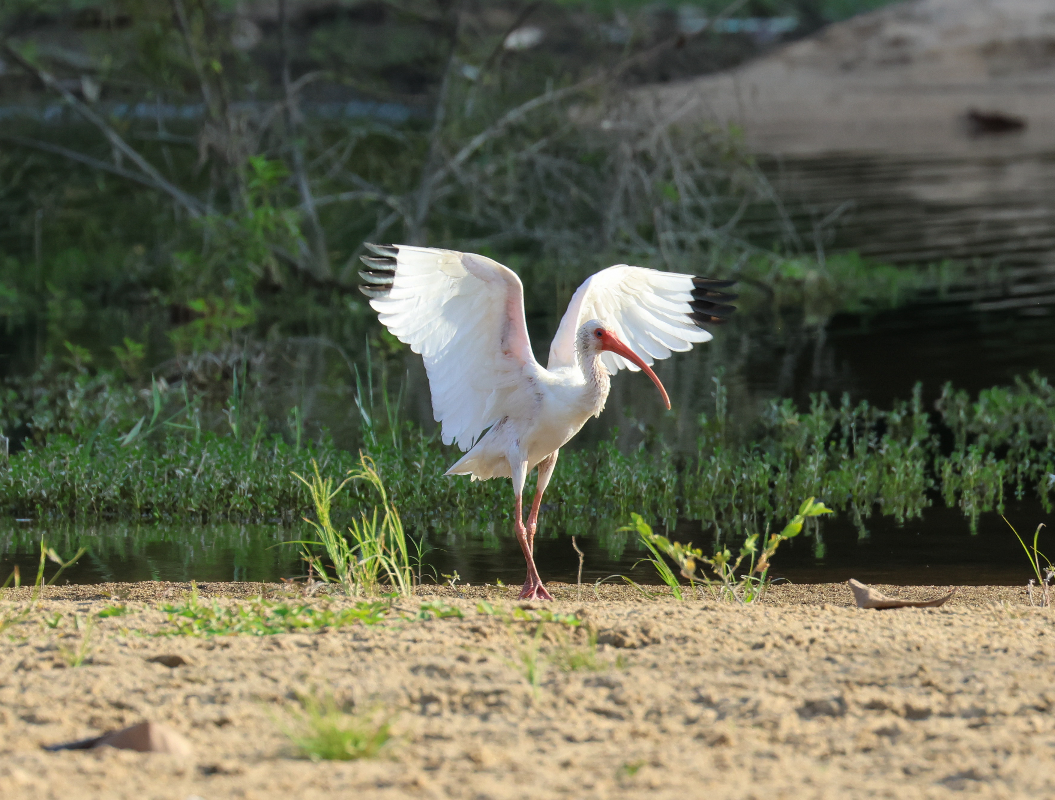 Photography by Taylor Azizeh