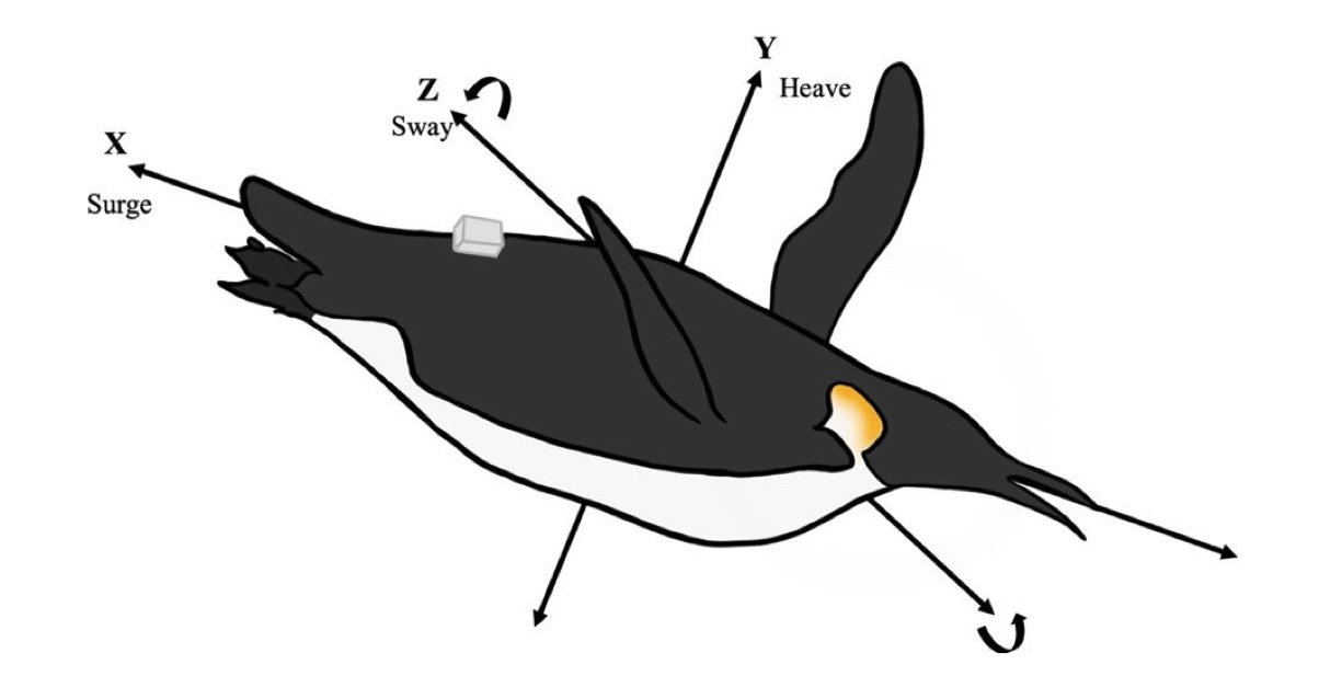Publication figure